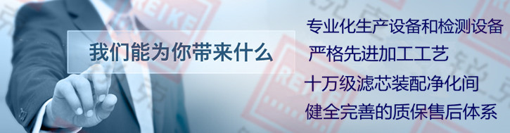 自清洗过滤器滤芯优势